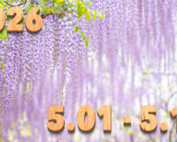 Stream News 2026 – 5.1〜5.10