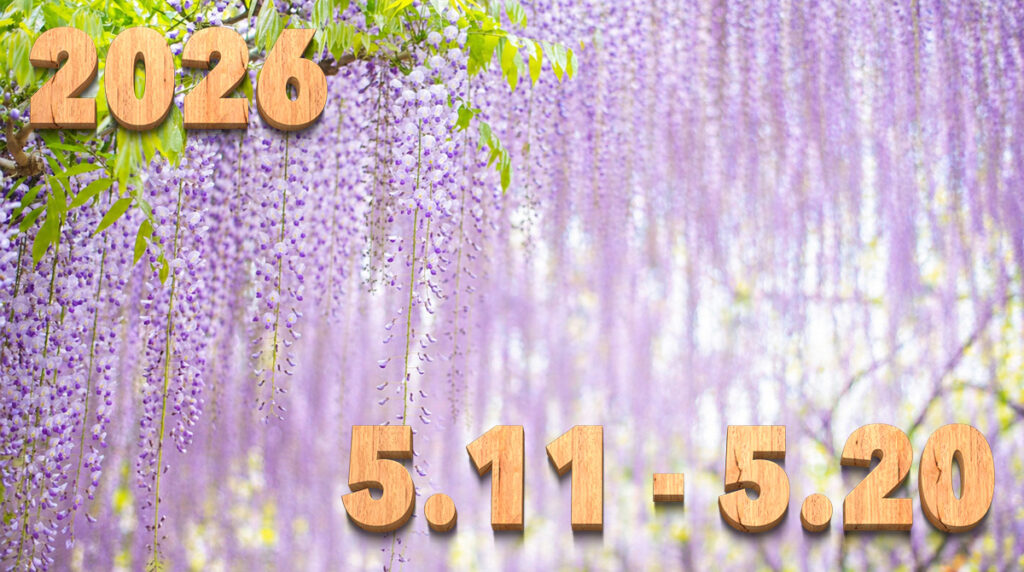 Stream News 2026 – 5.11〜5.20