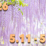 Stream News 2026 – 5.11〜5.20