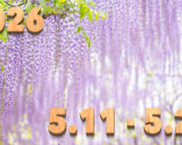 Stream News 2026 – 5.11〜5.20