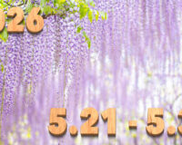 Stream News 2026 – 5.21〜5.31