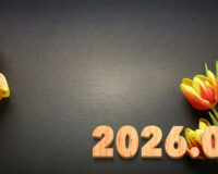 Introducing the balls – 2026.05