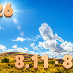 Stream News 2026 – 8.11〜8.20