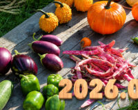 Introducing the balls – 2026.09