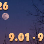 Stream News 2026 – 9.1〜9.10