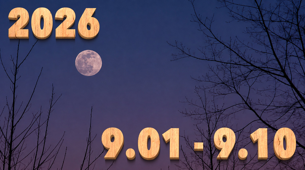 Stream News 2026 – 9.1〜9.10