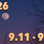 Stream News 2026 – 9.11〜9.20