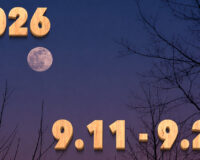 Stream News 2026 – 9.11〜9.20