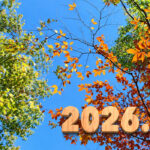 Introducing the balls – 2026.10