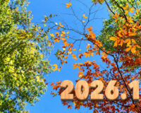 Introducing the balls – 2026.10